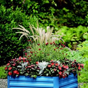 Garden Raised Bed