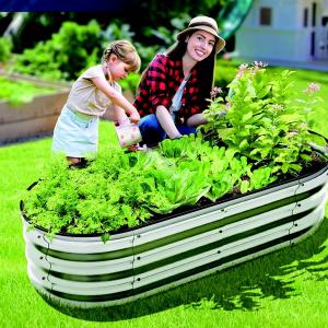 Garden Raised Bed  