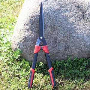 Hedge Shears