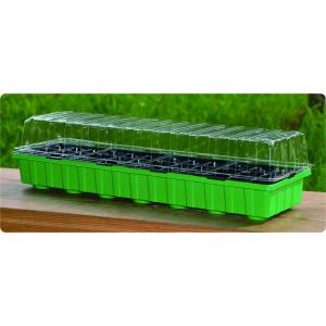 Seeding Tray