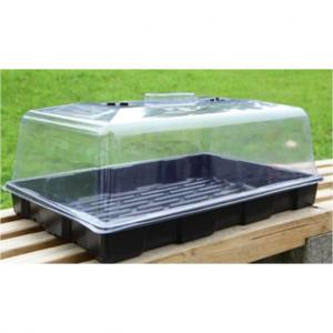 Seeding Tray