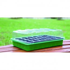 Seeding Tray