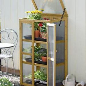 Wooden Greenhouse